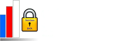 Dev – Datasoft Now logo