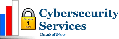 Dev – DatasoftNow logo